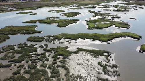 Green Summer Swamp With Sky Reflections At Daytime - aerial drone shot