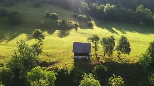 Morgen im Sommer