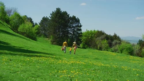 Family going on a meadow picnic