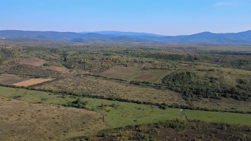 Vista aérea desde arriba de un terreno con campos verdes en el campo
