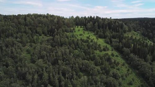 Areial Footage of Hills Covered with Green Pine Forest on a Sunny Summer Day
