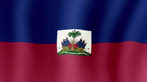 Realistic Waving Flag of Haiti Seamless Loop