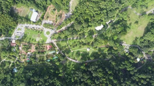 Aerial view look down botanical garden