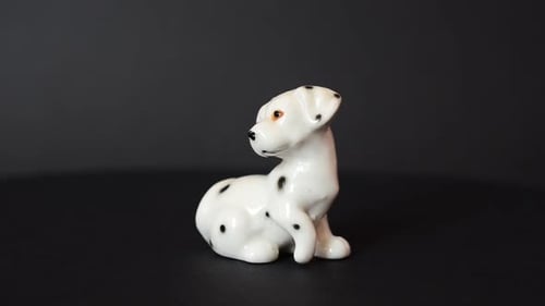 Dog 92