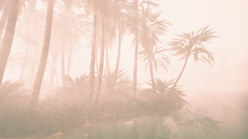 Ethereal Palm Trees in Dreamy Mist Nature Background