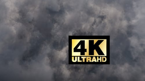 Fliege durch graue Wolken 01