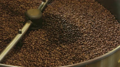 Roasted Coffee Beans Tumbling in Roasting Machine