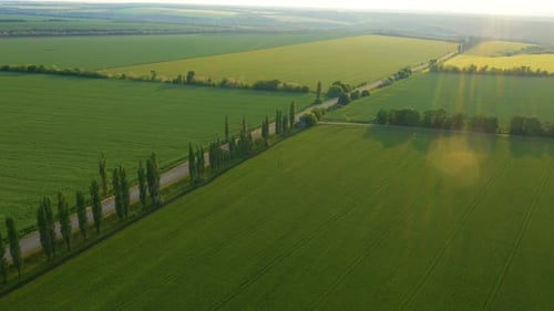 Aerial View Of Green Fields