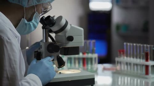 Scientist Works with Microscope in a Laboratory