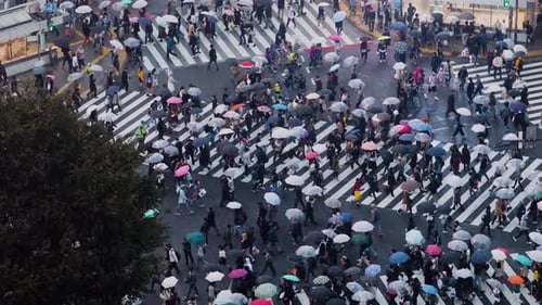Перекресток Сибуя в Токио, Япония