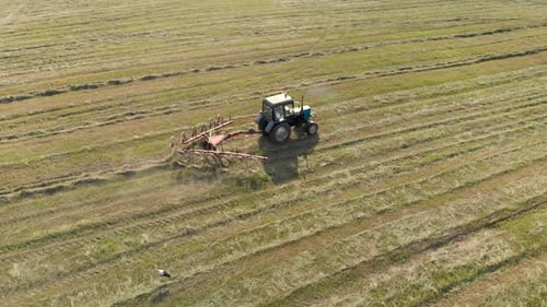 Vue d'un tracteur avec un râteau qui ratissait du foin fauché à sec d'affilée en soirée