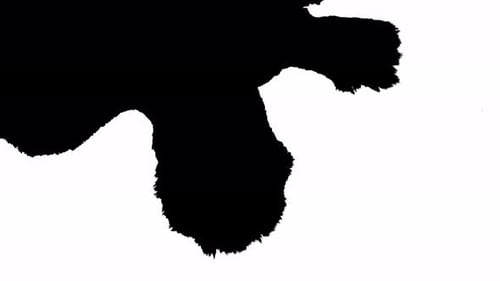 Abstract Black Liquid Expanding Across White Surface