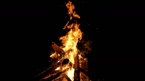 Wood Fire (2K)