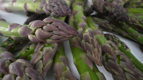 Spargel 18