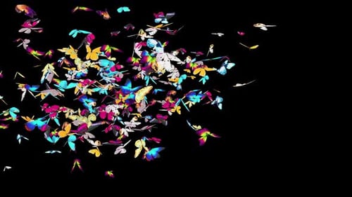 05 Butterfly HD