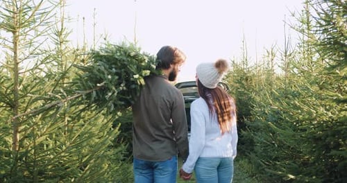 Man which Holding fir Tree on His Shoulder and His Pretty Amorous Wife which Putting Her Head
