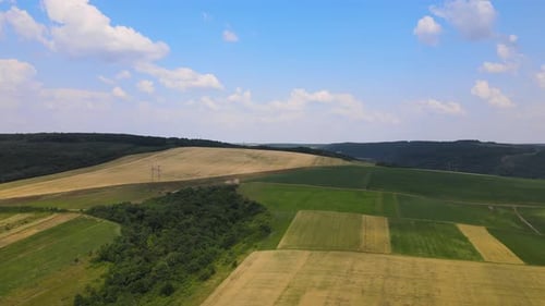 Aerial Landscape View of Green Cultivated Agricultural Fields with Growing Crops on Bright Summer