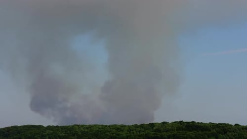 The Fire Over the Wood