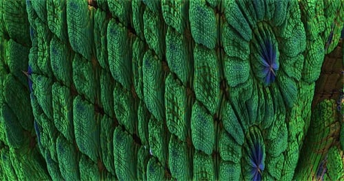Abstract Fractal Organic Green Morphing Background