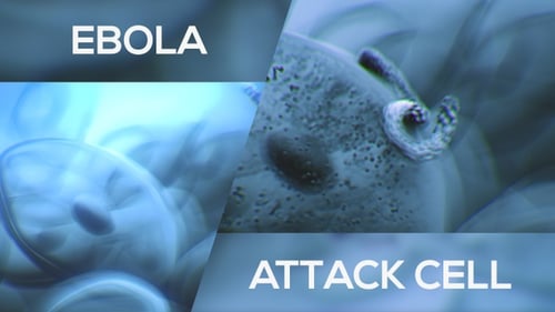 Ebola