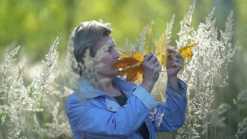 Ältere Dame betrachtet trockene vergilbte Blätter am Herbsttag, stehend auf dem Feld