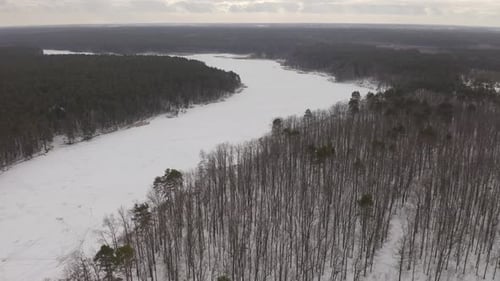 Forest Near The Frozen Teterv River