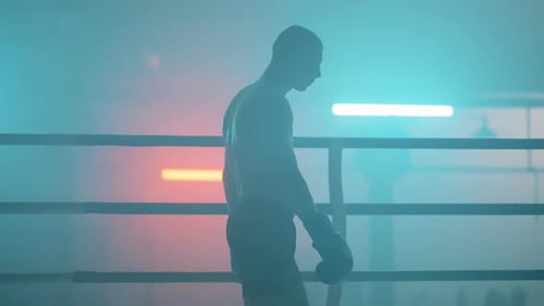Fighter Silhouette