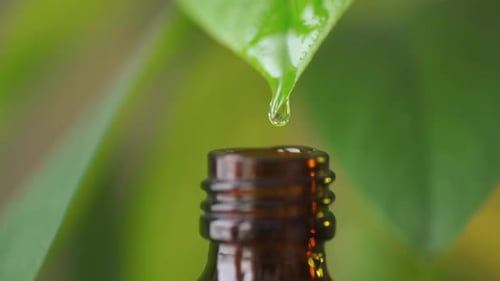 Leaf Extract Dropping Into Brown Glass Bottle