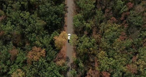 Aerial Top Down View of White Car Driving on Country Road in Forest in at