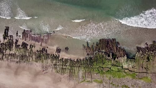 Drone fly over sea coast