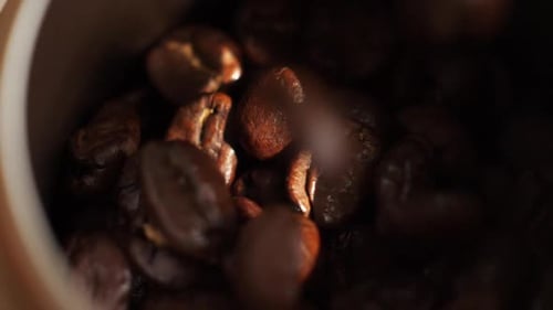 Close-Up of Delicious Coffee Beans Gathering