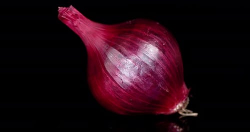 Vibrant Red Onion Close Up on Black Background