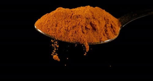Turmeric, curcuma longa, Powder falling against Black Background, Indian Spice, Slow Motion 4K