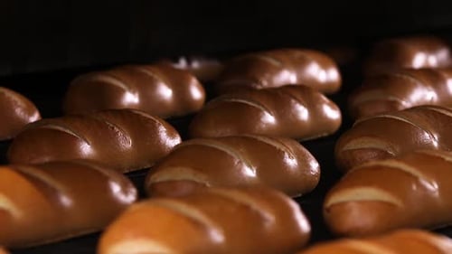 Brot im Ofen backen