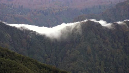 Wolkenwasserfall fließt den Berghang hinunter