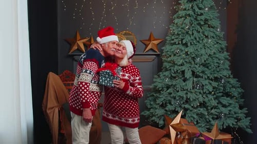 Affectionate Senior Couple Exchanging Christmas Gifts