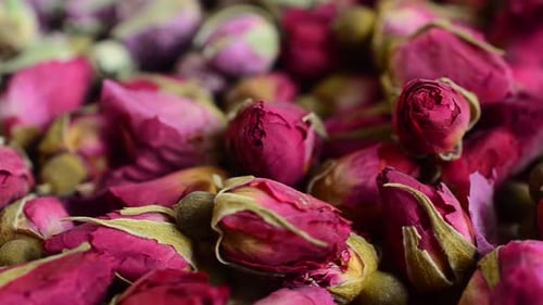 Close Up of Pile of Dried Rose Buds