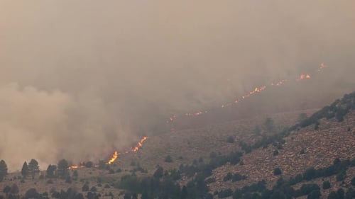 Forest Fire Burning Mountainside