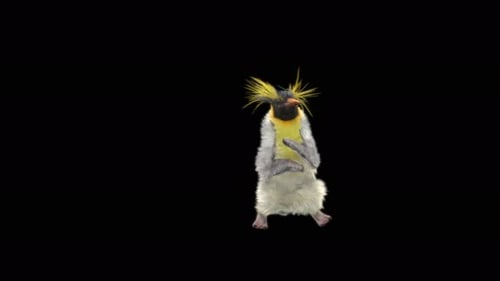Penguin Dancing 4K