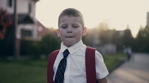 Schoolboy boy, with knapsack behind his back, in school uniform