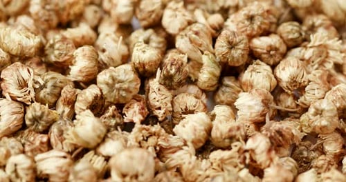 Close up of Dried Chrysanthemum Flowers for Tea