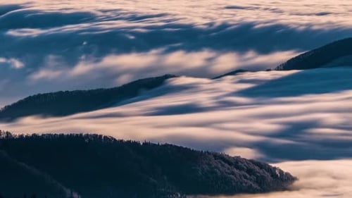 Blue Morning Foggy Clouds in Misty Forest Nature