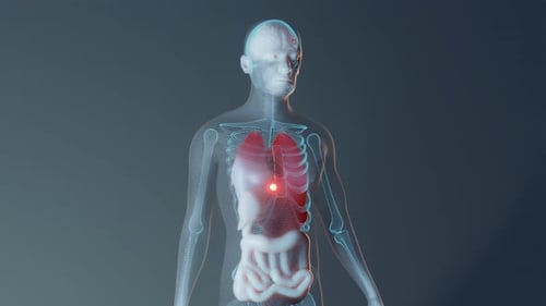 3D Digital Human Body Medical Scan and Internal Organ Tracking