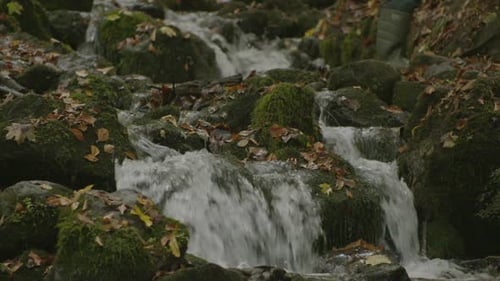 Bach und fließendes sauberes Wasser.