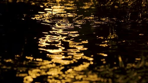 Large Drops of Rain Drip Onto the Shiny Surface of the Water. Shot in a Dark Studio with Yellow Neon