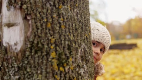 Linda menina escondida atrás da árvore no outono 1