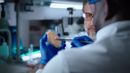 Scientists Analyzing Lab-Grown Specimen in Petri Dish