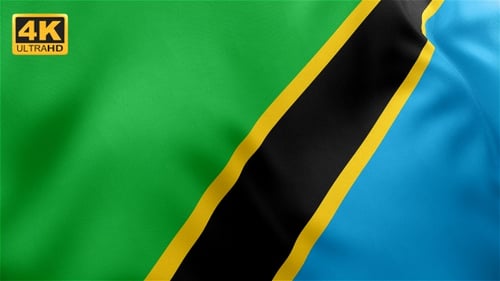 Realistic Tanzania Flag Waving Motion Graphic Loop