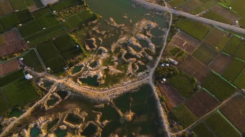 Aerial top down, wine vineyard grape farm fields in rural countryside