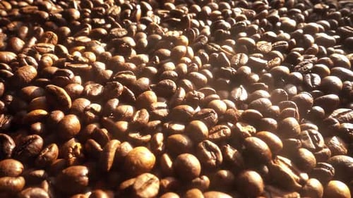 Pile of Roasted Coffee Beans Close Up